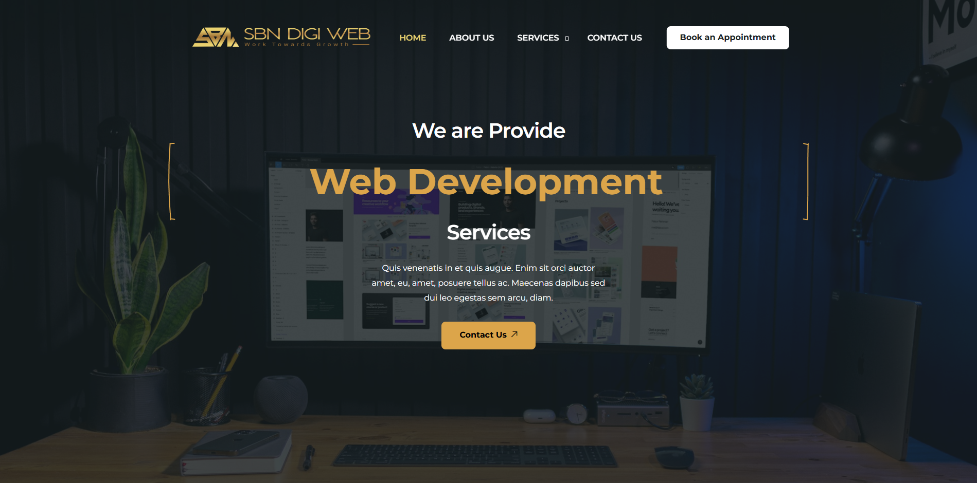 SBN Digi Web Website Development in Brisbane